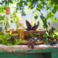 Mental Health and Wellness in Nashville, Tennessee: A Comprehensive Guide to Mental Health Resources